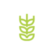 Gluten Free